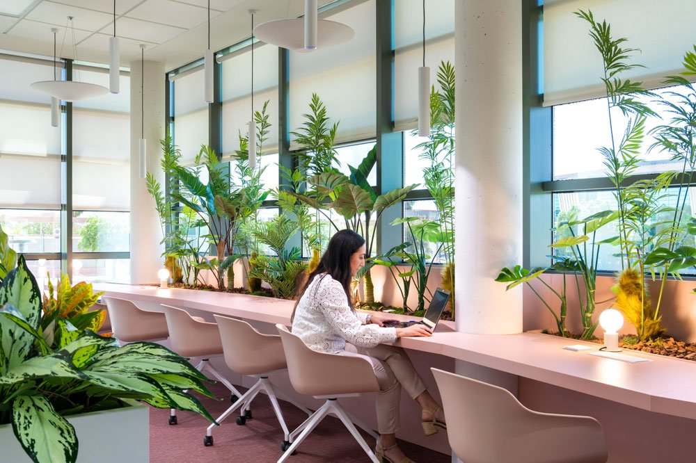 Diseño de oficinas chavsa