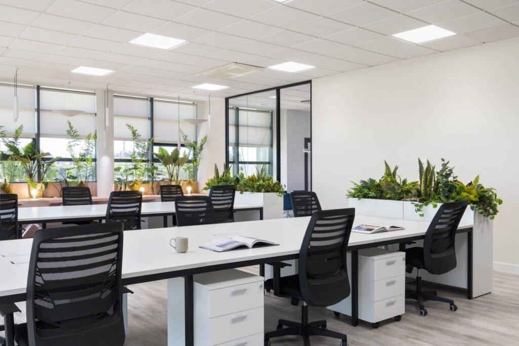 Oficinas de Chavsa