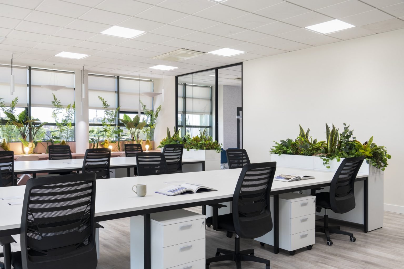 Oficinas de Chavsa