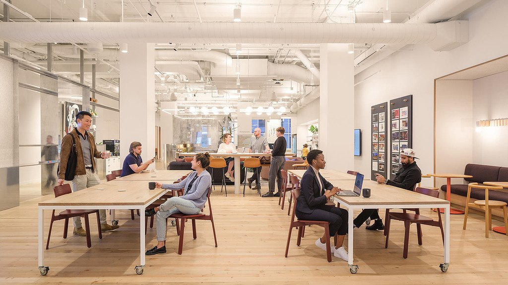 Global Workplace Survey